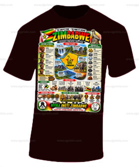 ZIMBABWE HISTORY